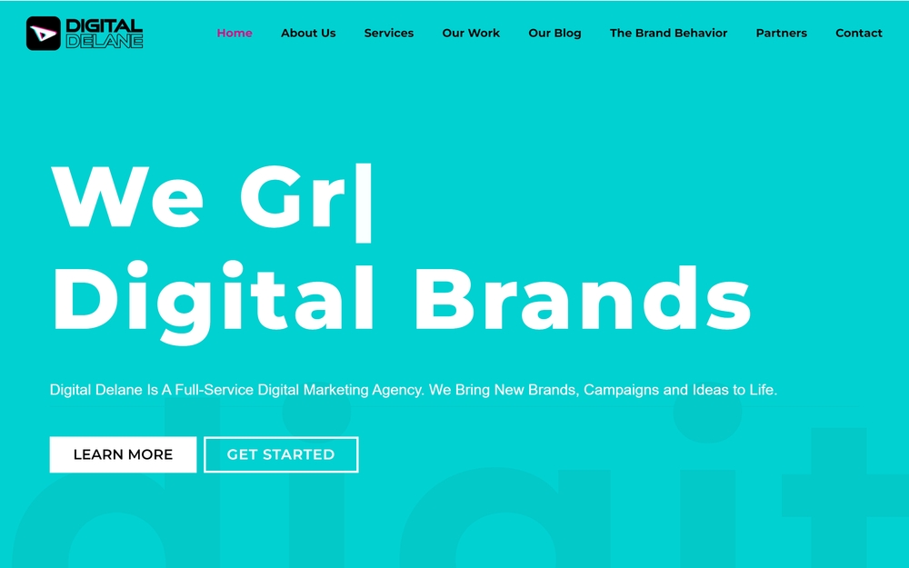 img of B2B Digital Marketing Agency - Digital Delane